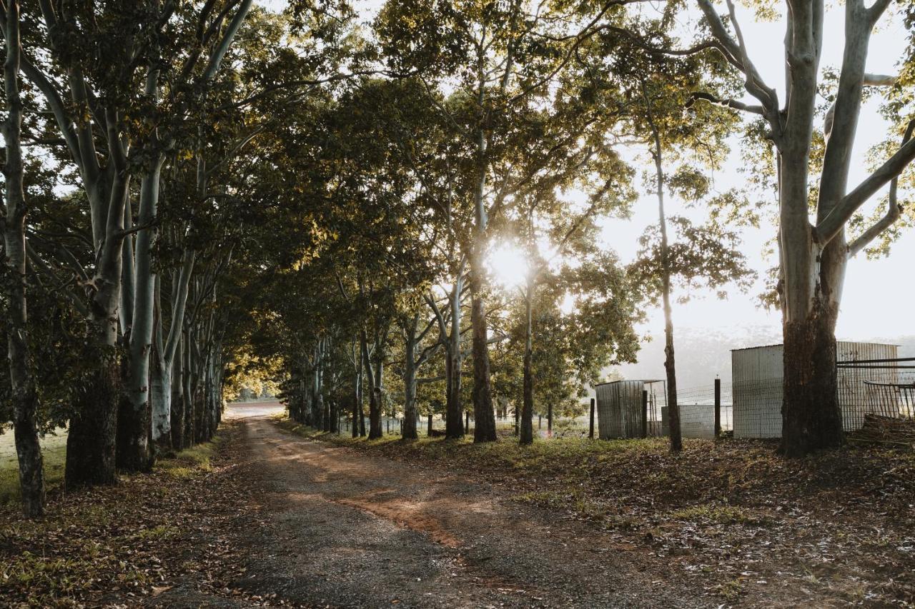 Blackwattle Farm Beerwah Eksteriør billede