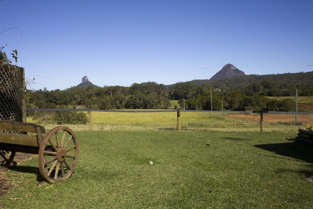 Blackwattle Farm Beerwah Eksteriør billede